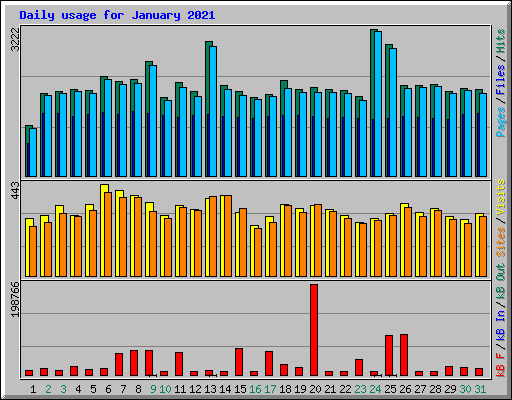 Daily usage for January 2021