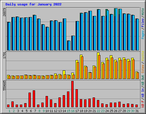 Daily usage for January 2022