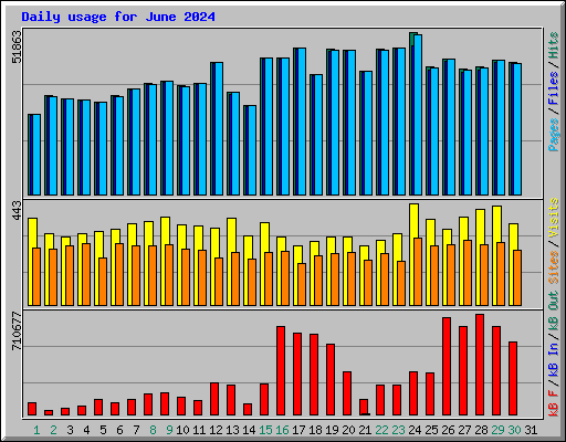 Daily usage for June 2024