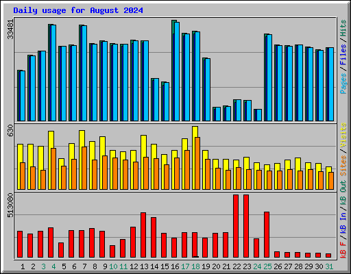 Daily usage for August 2024