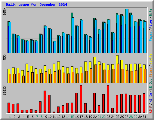 Daily usage for December 2024