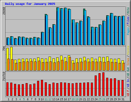 Daily usage for January 2025