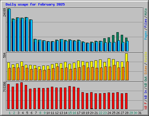 Daily usage for February 2025