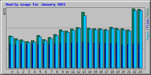 Hourly usage for January 2021