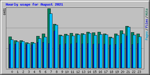 Hourly usage for August 2021