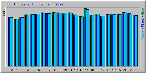 Hourly usage for January 2022