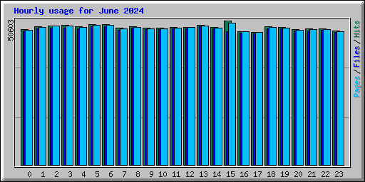 Hourly usage for June 2024