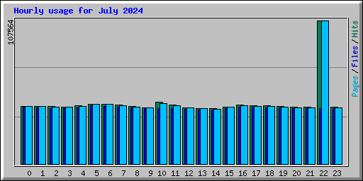 Hourly usage for July 2024