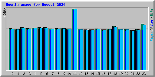 Hourly usage for August 2024