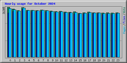 Hourly usage for October 2024