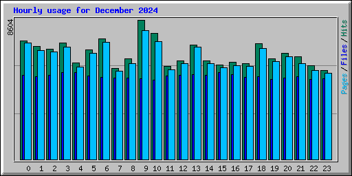 Hourly usage for December 2024