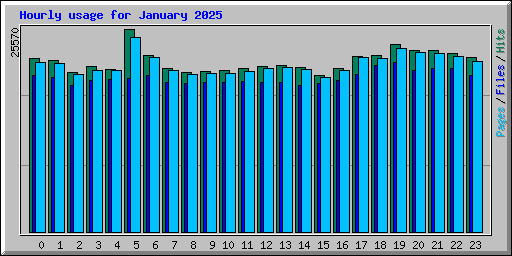 Hourly usage for January 2025