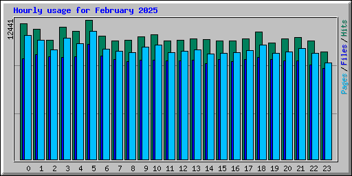 Hourly usage for February 2025