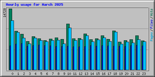 Hourly usage for March 2025