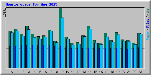 Hourly usage for May 2025
