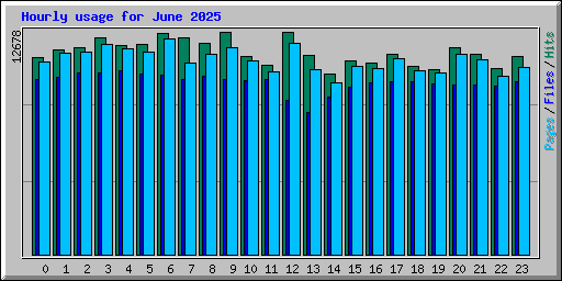 Hourly usage for June 2025