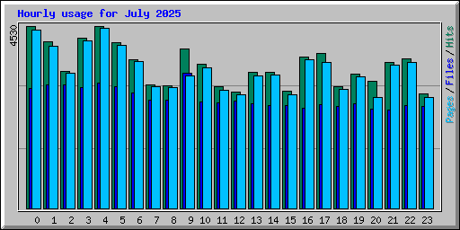 Hourly usage for July 2025