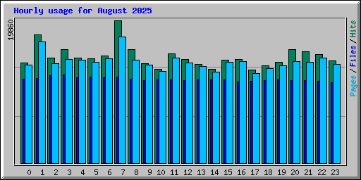 Hourly usage for August 2025