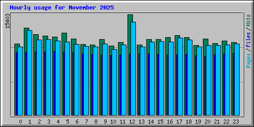 Hourly usage for November 2025