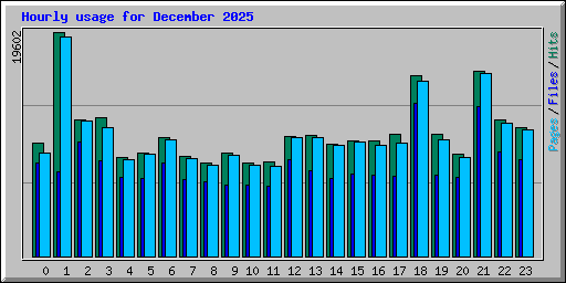 Hourly usage for December 2025