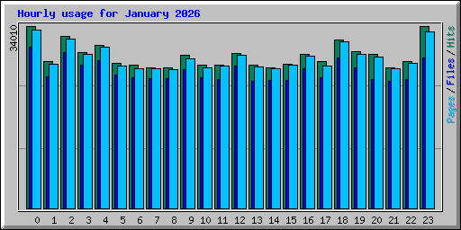Hourly usage for January 2026