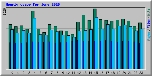 Hourly usage for June 2026