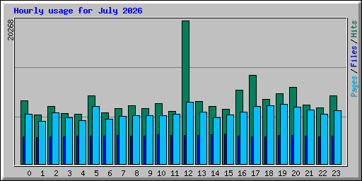Hourly usage for July 2026