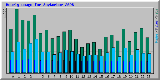 Hourly usage for September 2026